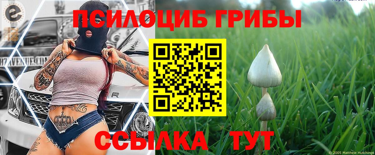 Галлюциногенные грибы мухоморы  Псилоцибиновые грибы прущие грибы  Родники  Вход с VPN 