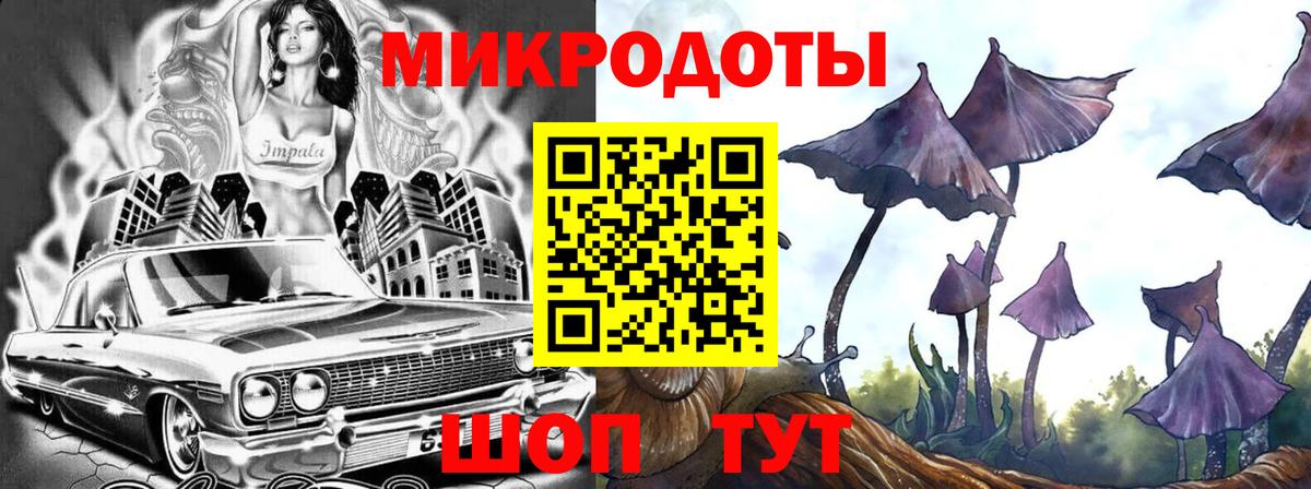 Псилоцибиновые грибы Psilocybe Родники